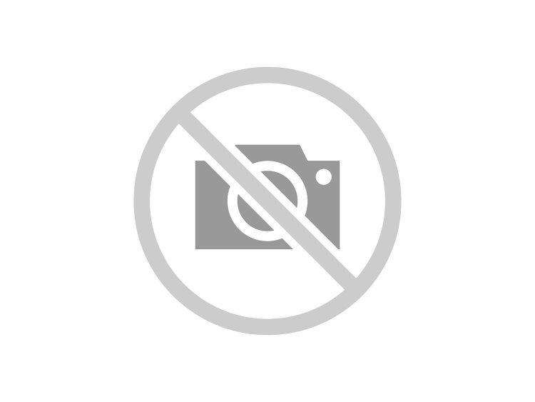 Victoria Skazon actress