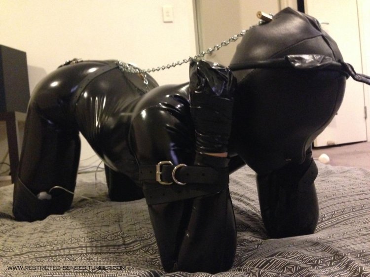 3d girls in bdsm suit