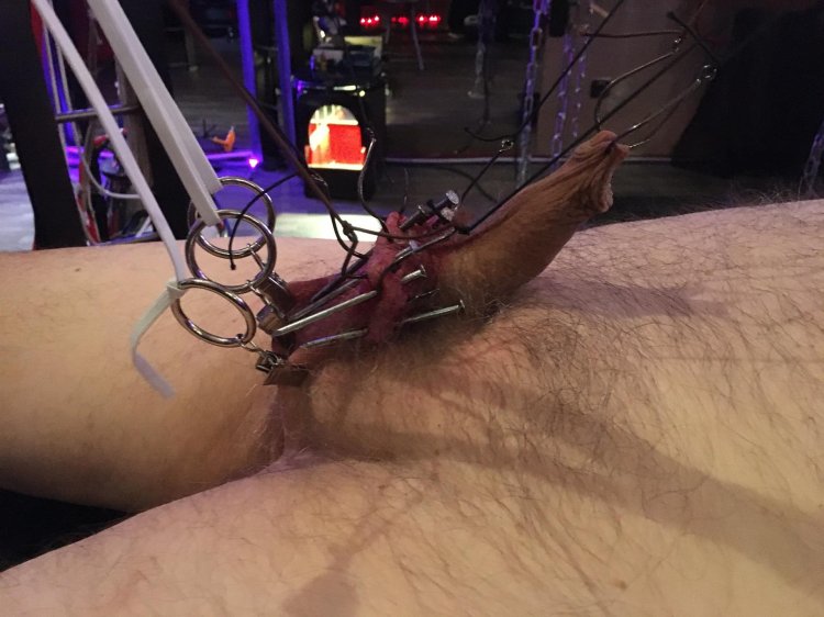 Femdom BDSM Strapon Mistress