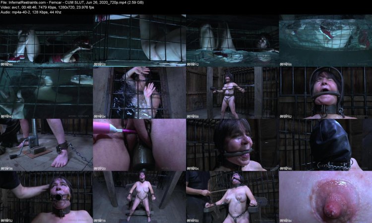 Cherry Torn the Training of Two Bdsm