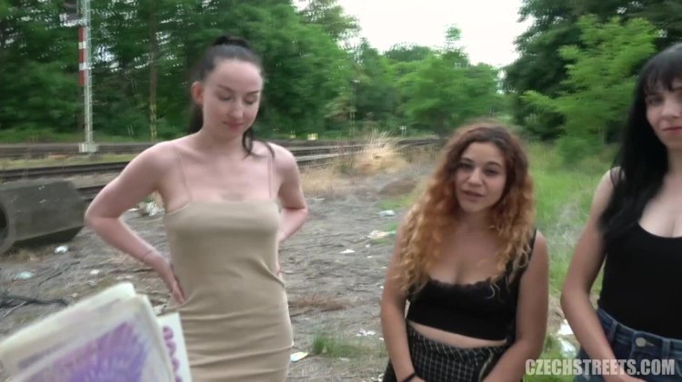 Blonde Czech Publicagent