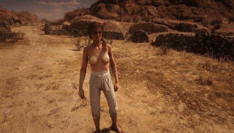 Rdr 2 porn