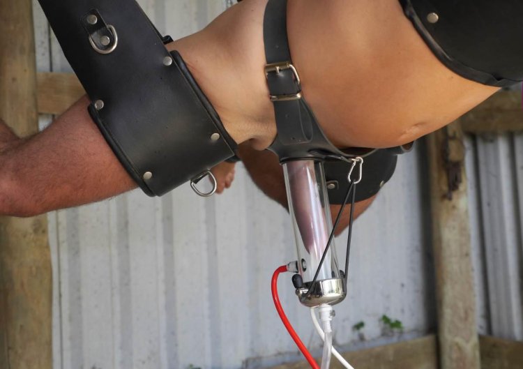 Hucows Agnet Royal XXX