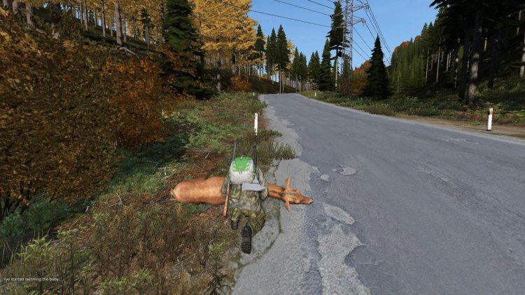 Dayz Standalone
