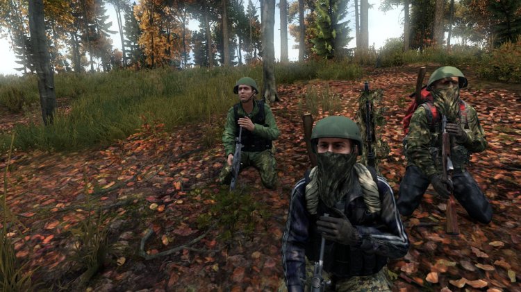 Dayz game