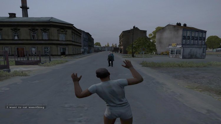 Dayz game