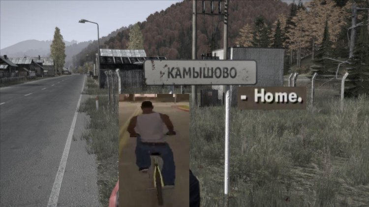 Dayz game