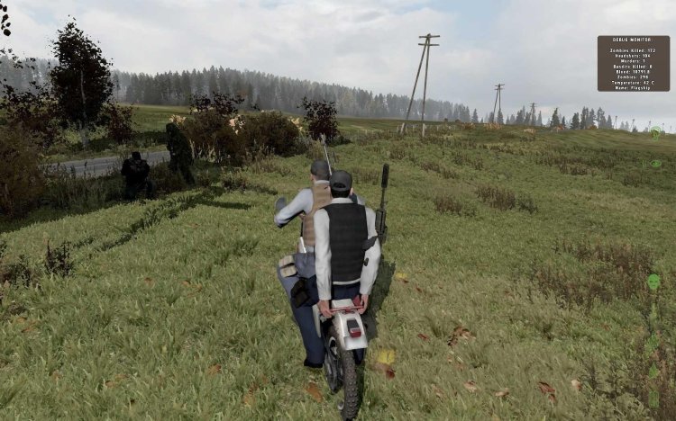 Arma 2 Deiz Inventory Mod
