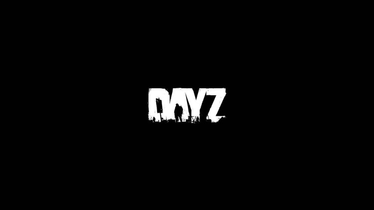 Arma 2 Dayz Mod