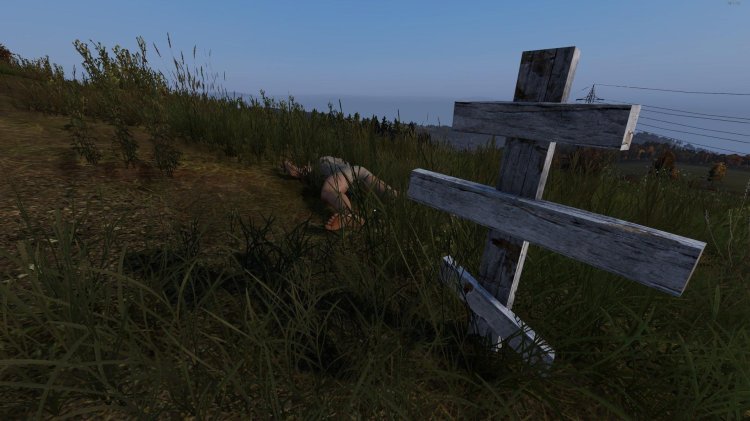 Rp atmosphere of the stalker Dayz