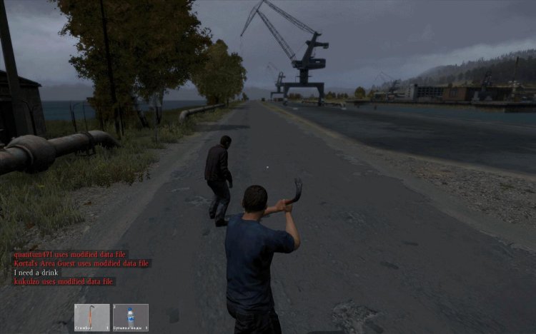 Dayz game PC