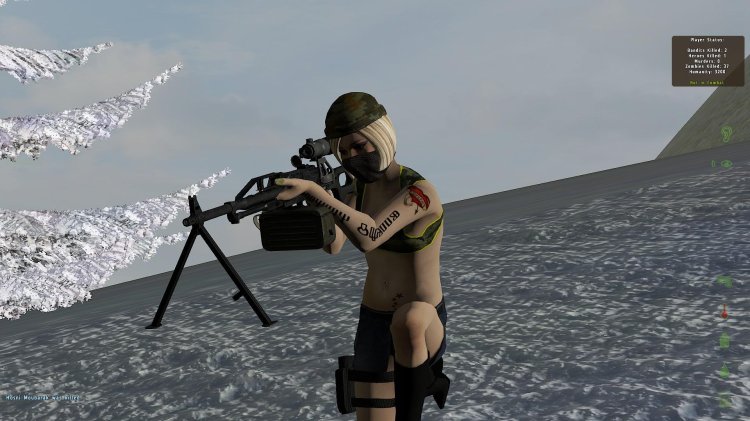 Machine gun PKP Pecheneg