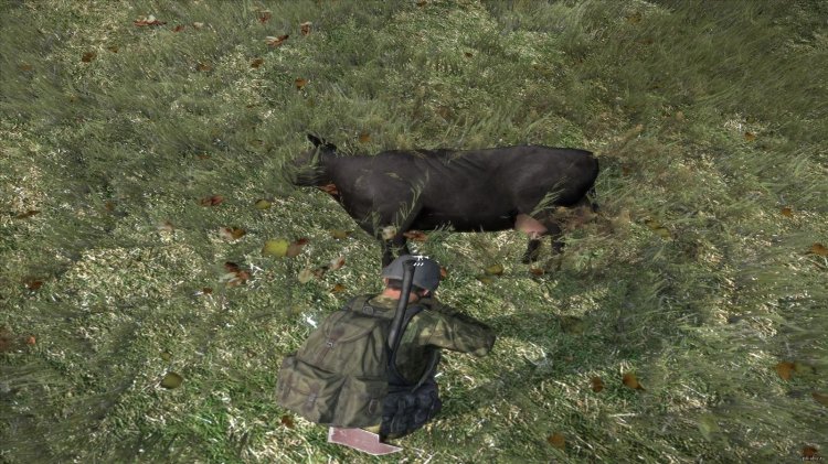 Hunting Dayz Standalone