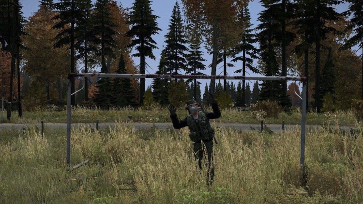 Dayz game