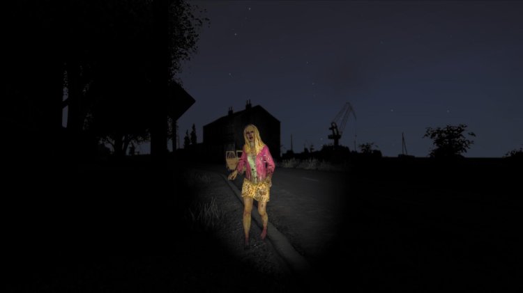 Dayz corpse
