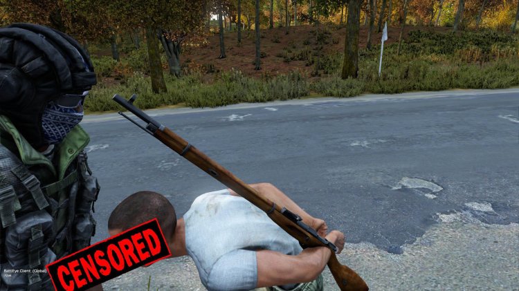 Bohemia Interactive Dayz