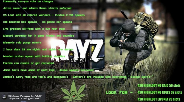 Dayz game