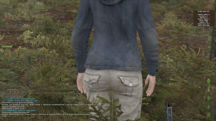 Dayz game