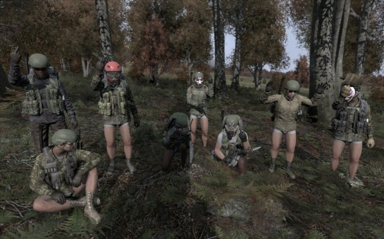 Dayz game