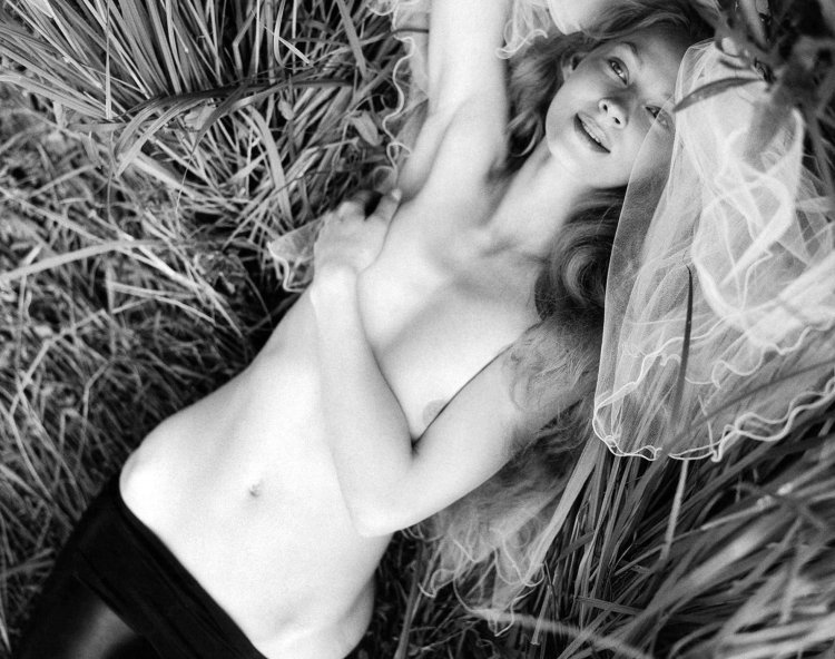 Webcams of the model