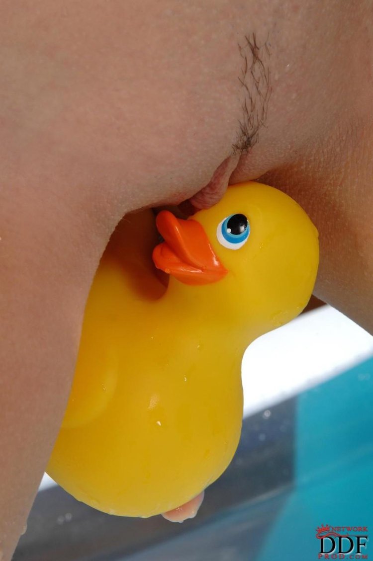 Rubber duck