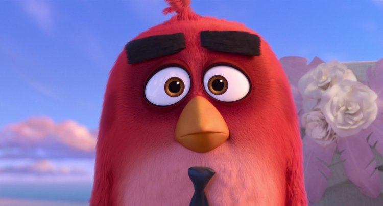 Engry Berdz cartoon ed