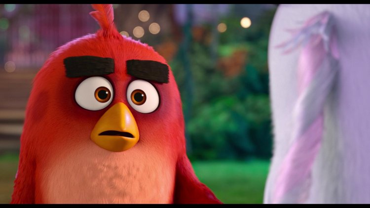 Angry Birds in the movie STS