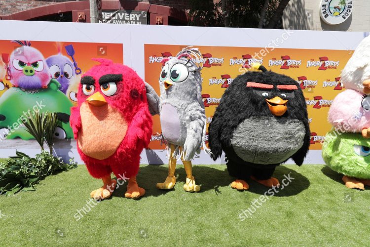 Ed Angry Birds