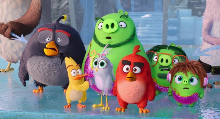 Angry Berds Cartoon
