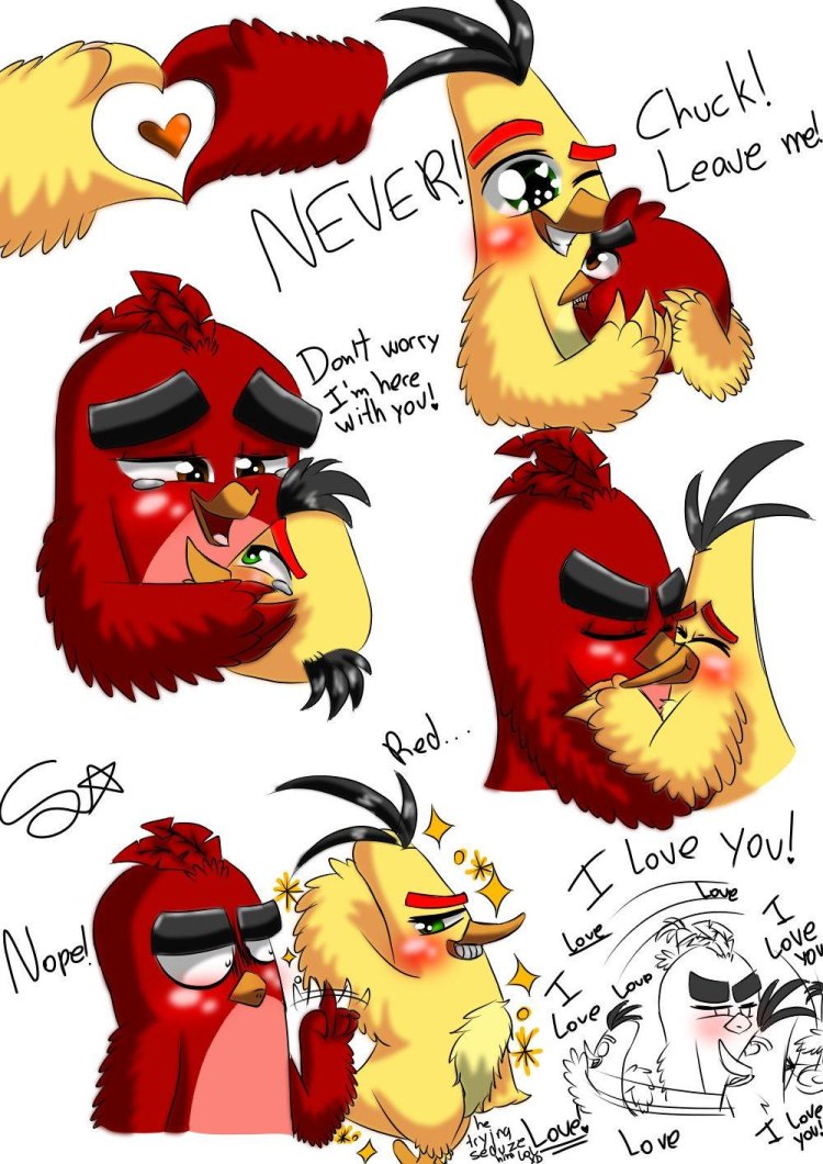 Engry Berdz Red and Siler