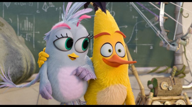 Angry Birds in the cinema Chuck