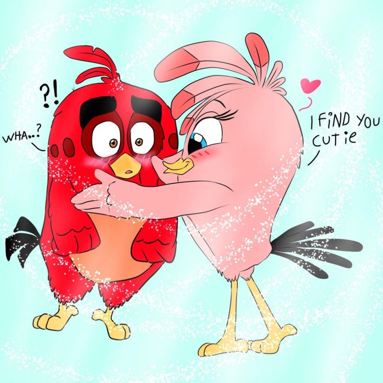 Engry Berdz Red and Stella