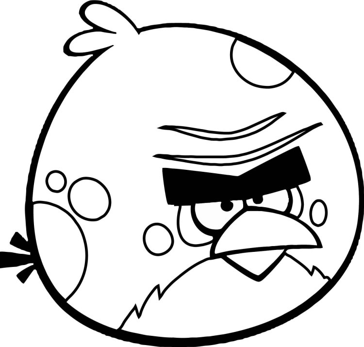 Angry Birds Painting Terens