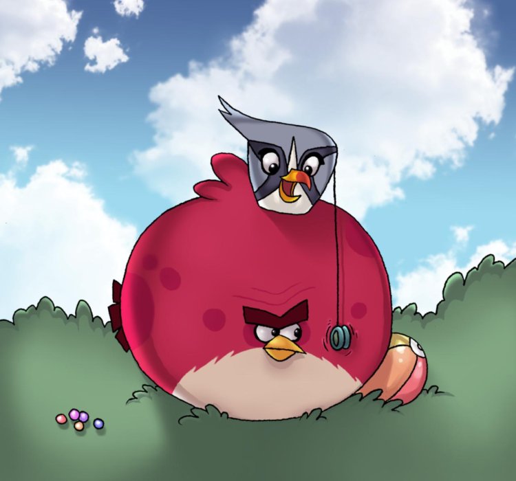 Angry Birds Terens