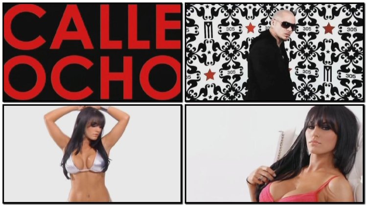 Pitbull i know you want me