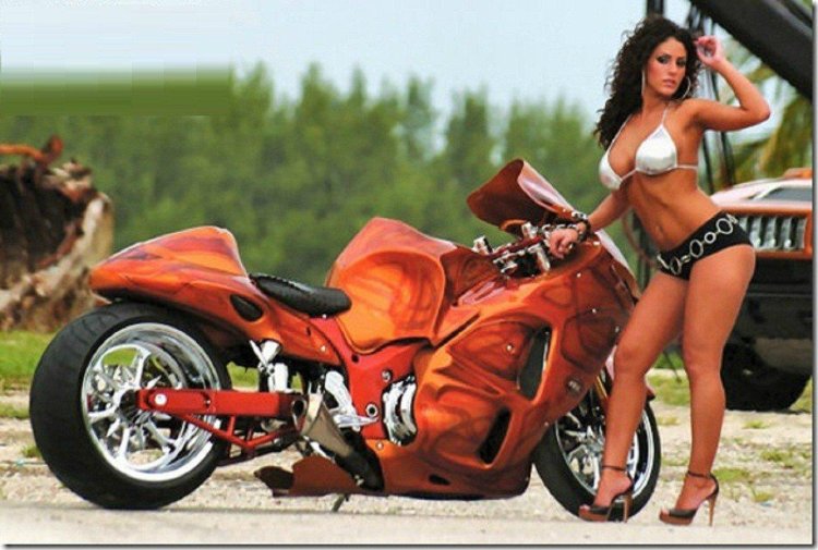 Suzuki Hayabus Caste