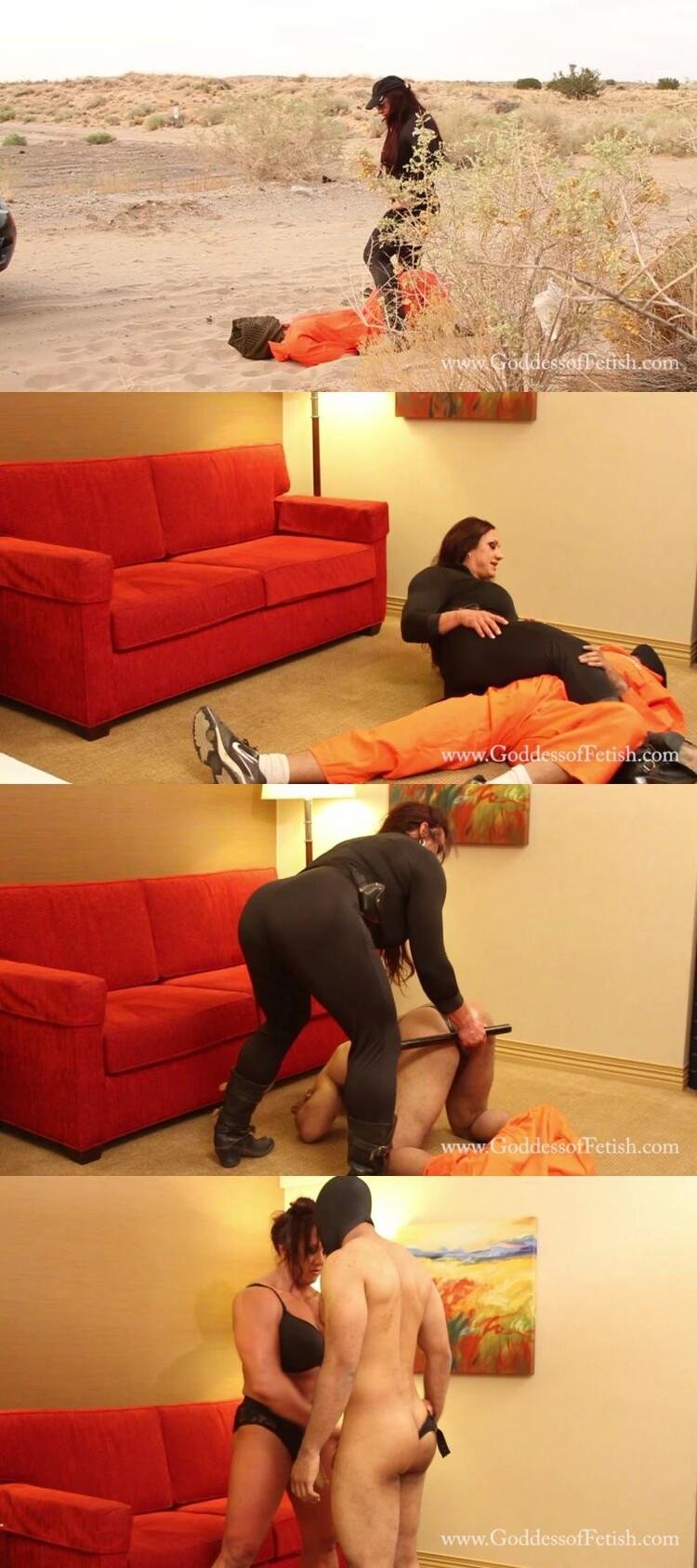 Furniture for the living room