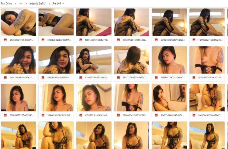Webcams of the model