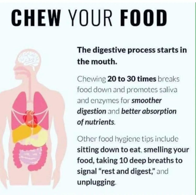 Your digestive system