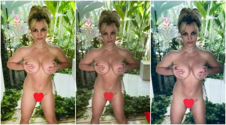 Britney Spears starred naked