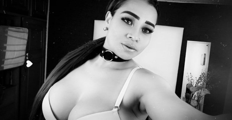 Webcams of the model