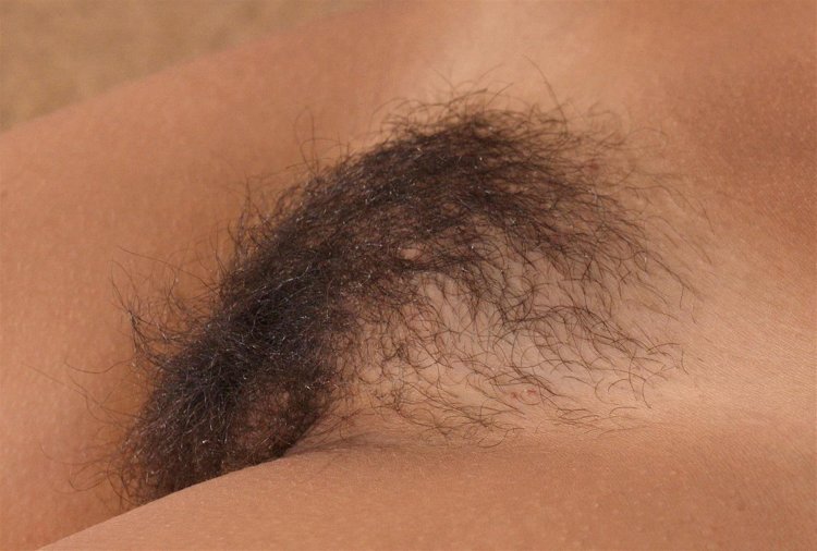 Pubic hair