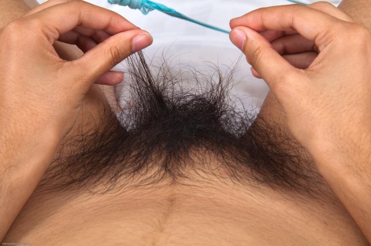 Black hairy pubic hair