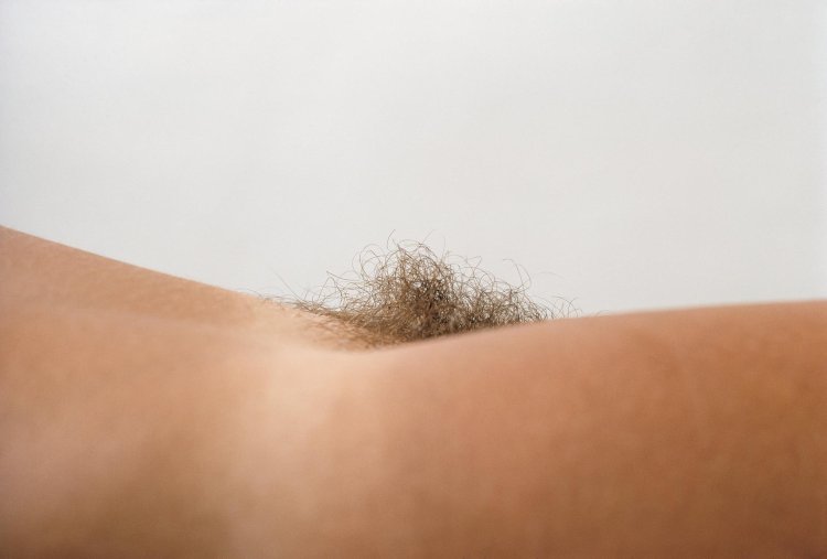 Curly pubic hair