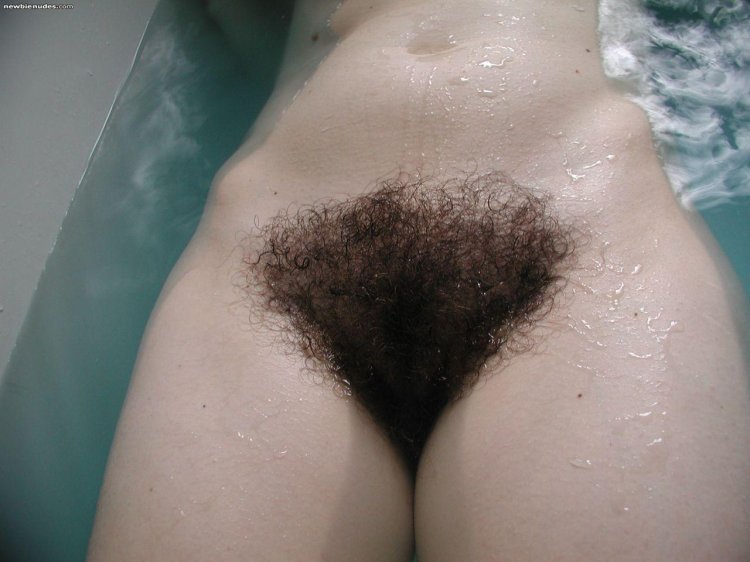 Beautiful hairy female pubis