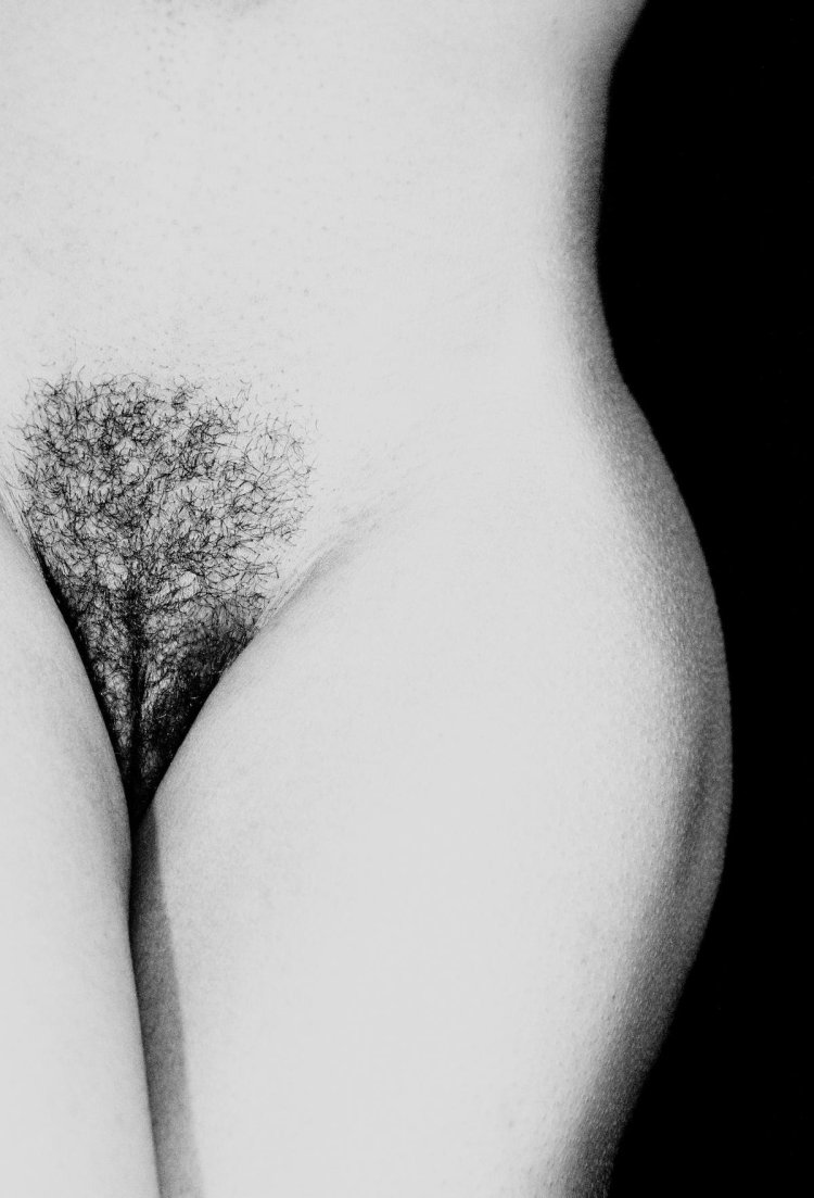 Long hair on the pubis