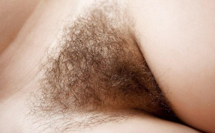 Thick hairy pussy