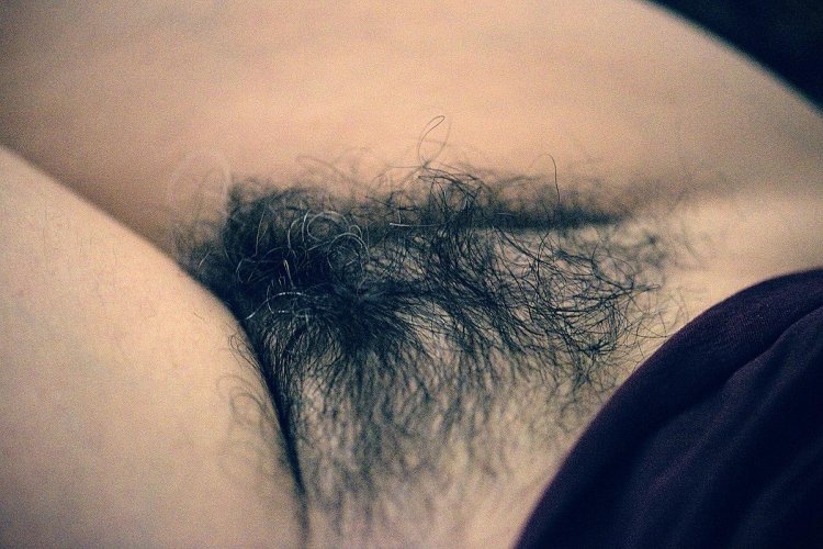 Black hairy pubic hair