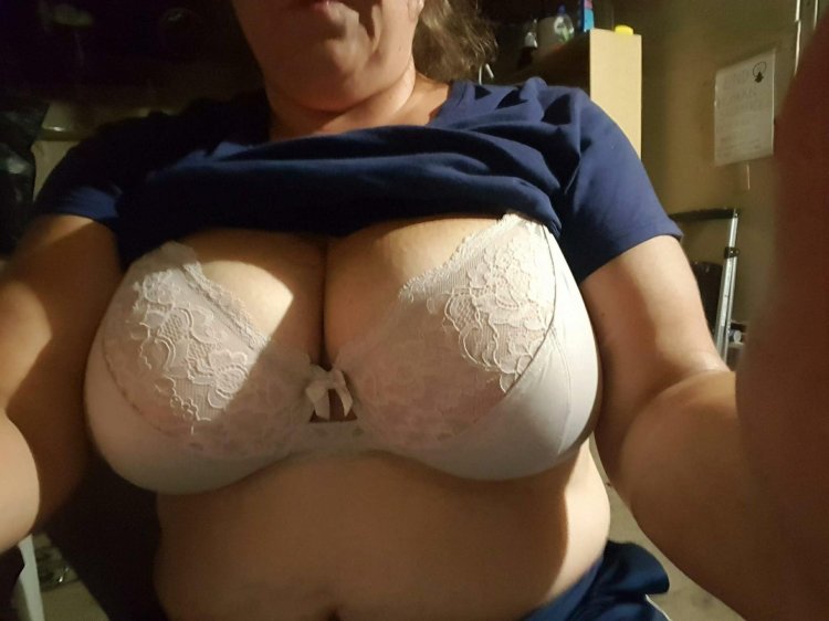 Tits in a bra