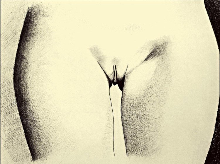 Drawing of a female vagina
